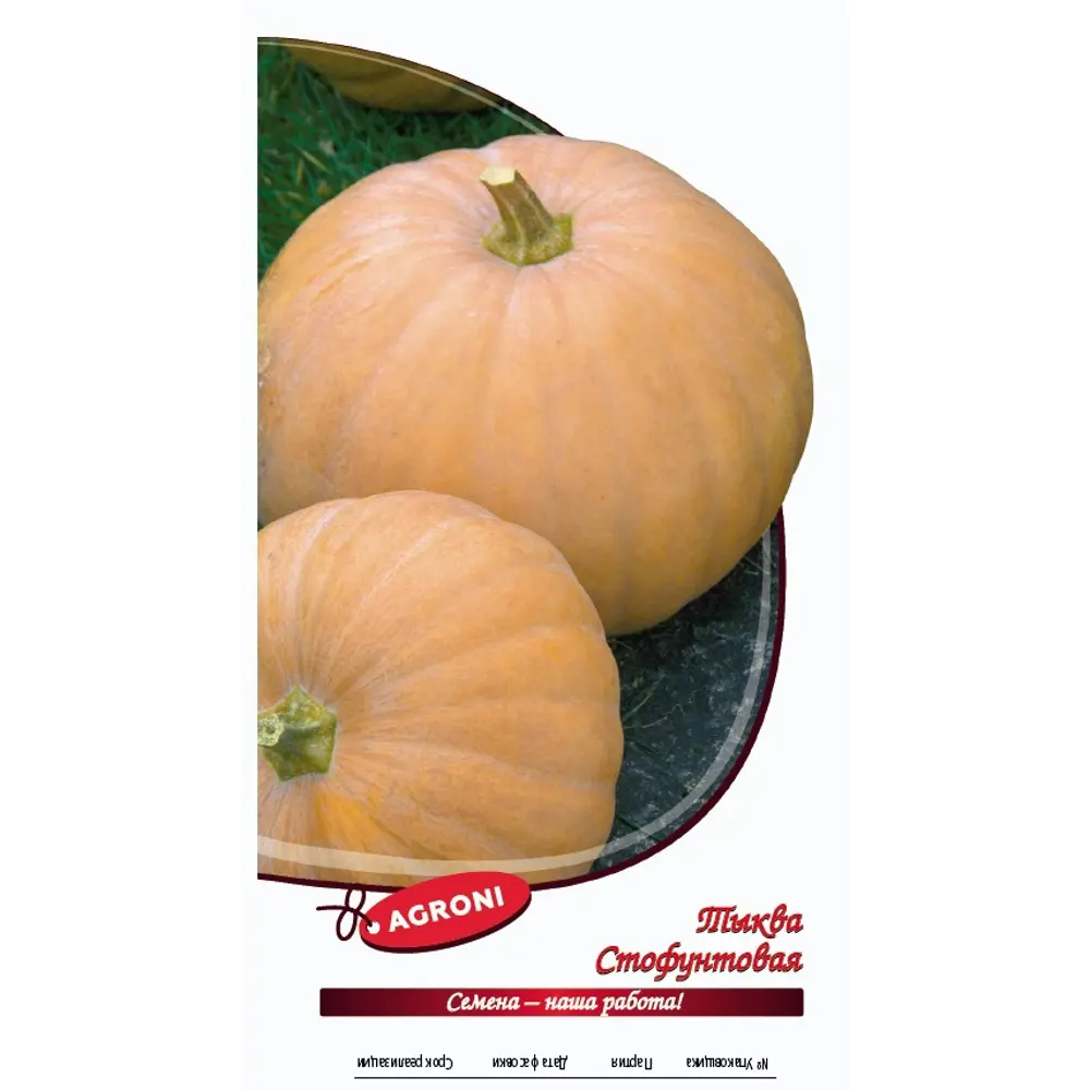 Семена тыквы Стофунтовая AGRONI - для богатого урожая 89400839 STLM-1570850