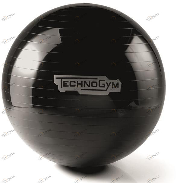 Technogym Аксессуар для фитнеса Wellness tools A0000154/5-aa