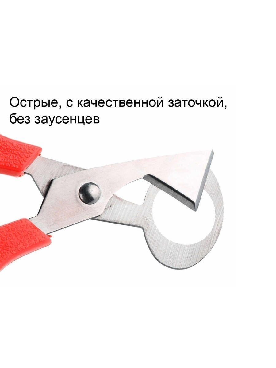 2366 Ножницы для вскрытия перепелиных яиц LAB.Space  - Вид №2