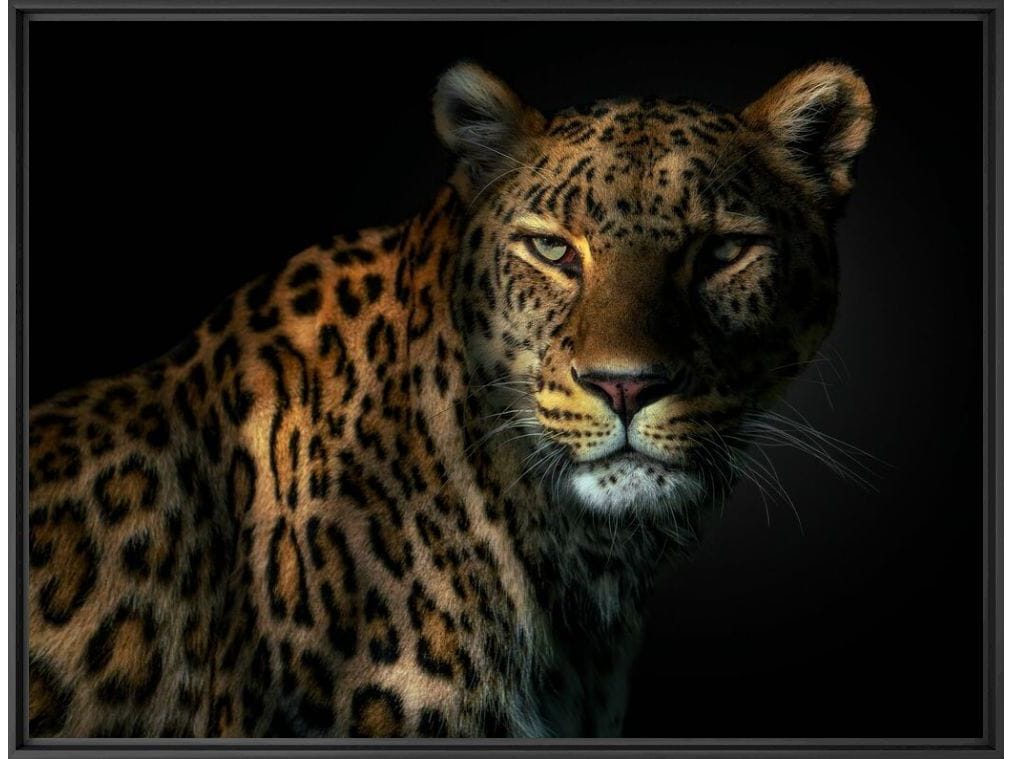 Печать фотографий на бумаге YellowKorner животное ARCH-00124145