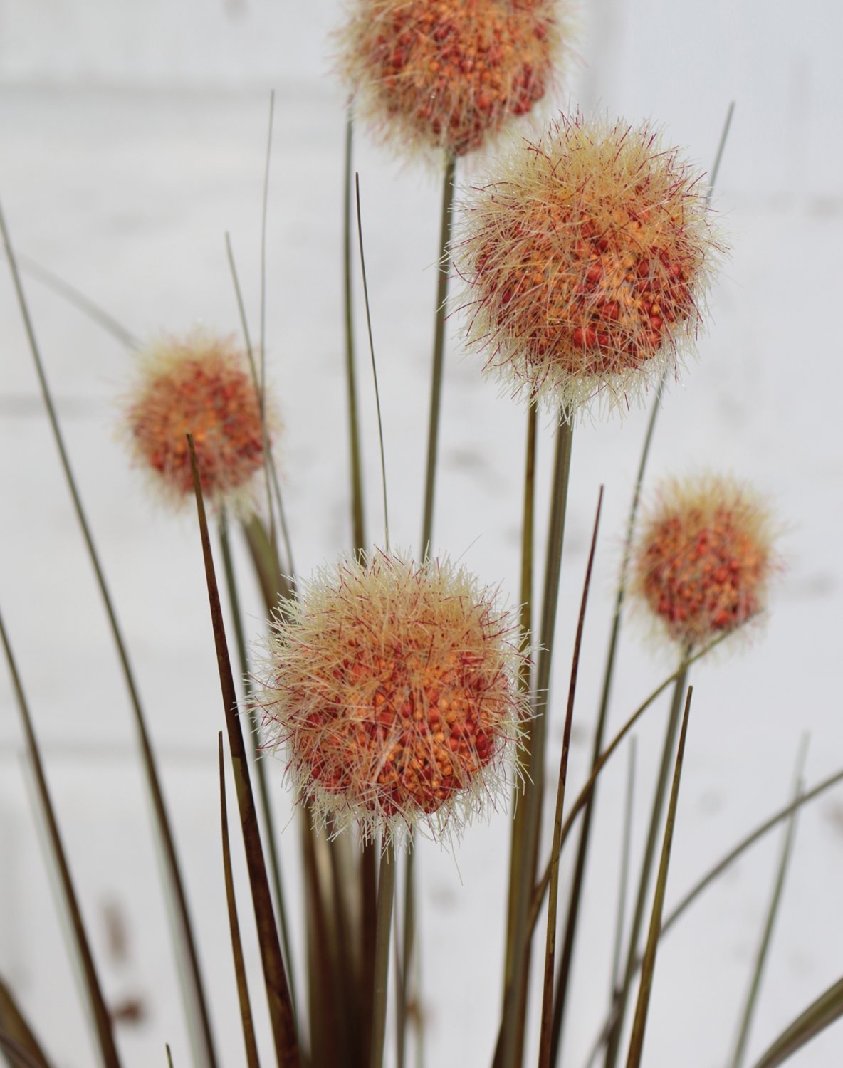 4945 608 a3 Мяч из искусственной травы, 75 см, коричнево-зеленый H-andreas  - Вид №9