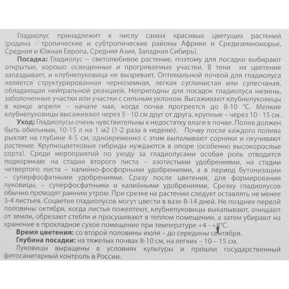 Гладиолус крупноцветковый Замора 10 шт. 83628497 STLM-2039101 BOTANIC COLLECTION  - Вид №3