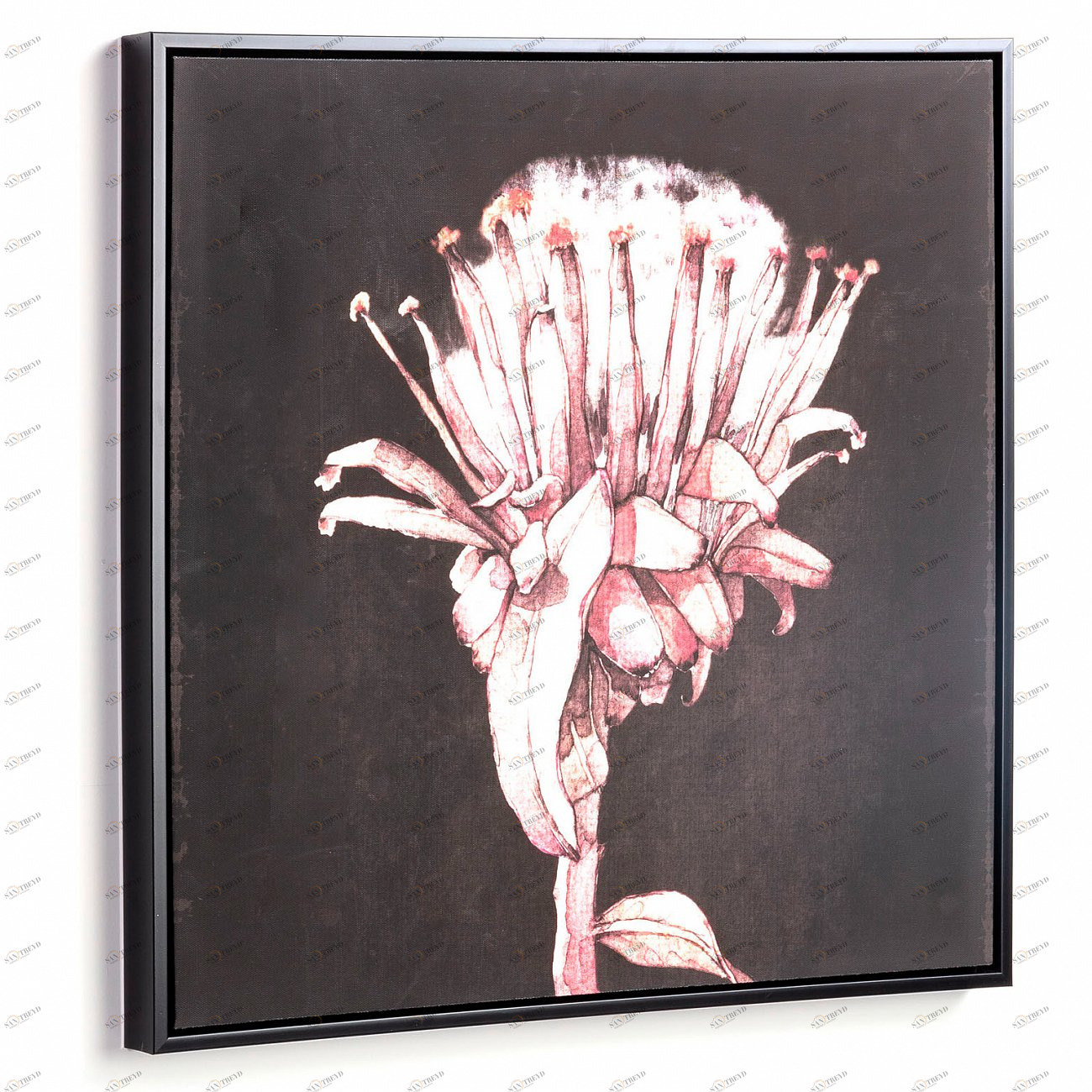 Картина на холсте 60х60 см черная Natures от La Forma LA FORMA NATURES 343086 Розовый;черный 