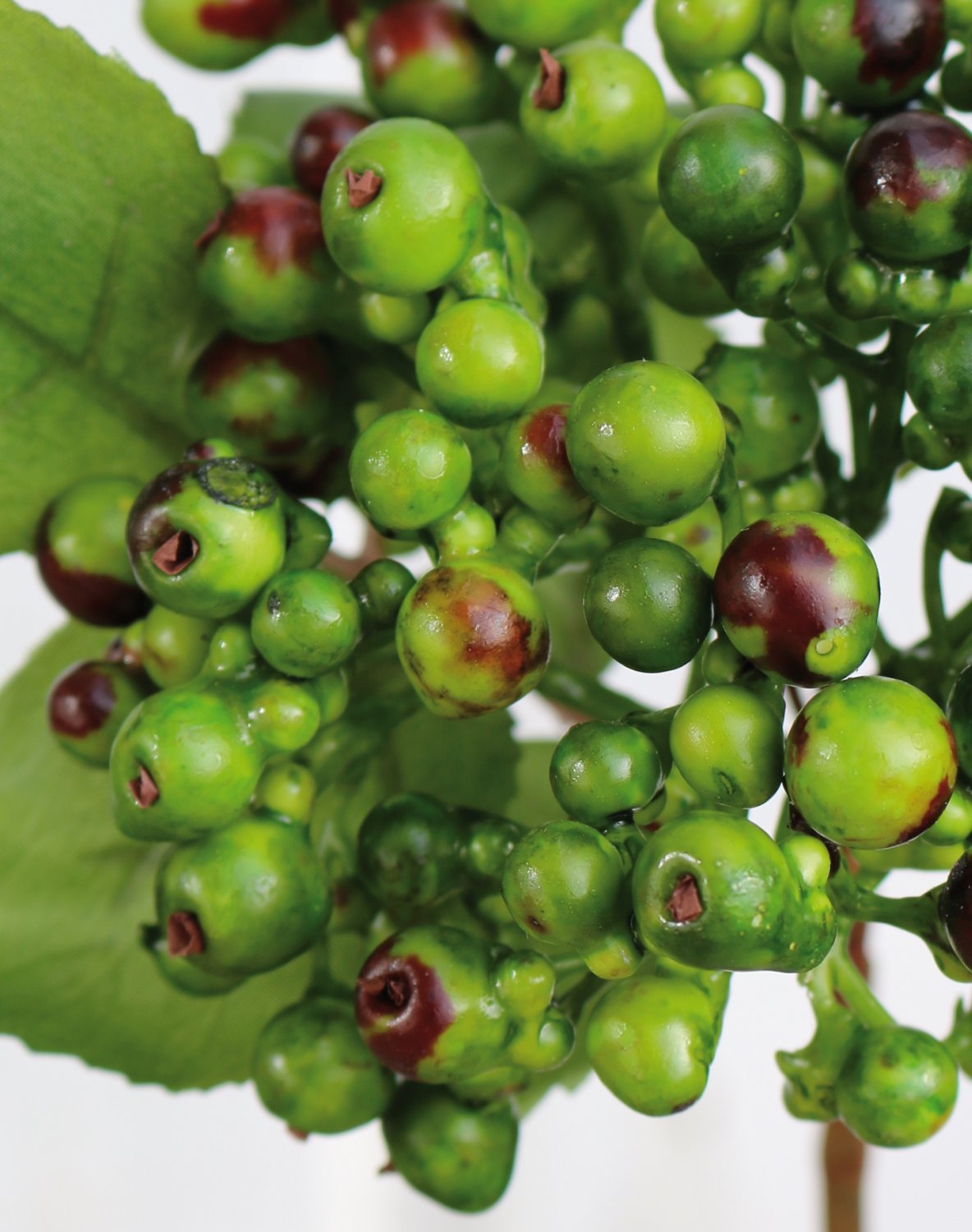 1551 883 a3 Искусственные ягоды на палочке, 30 см, зеленые H-andreas  - Вид №1