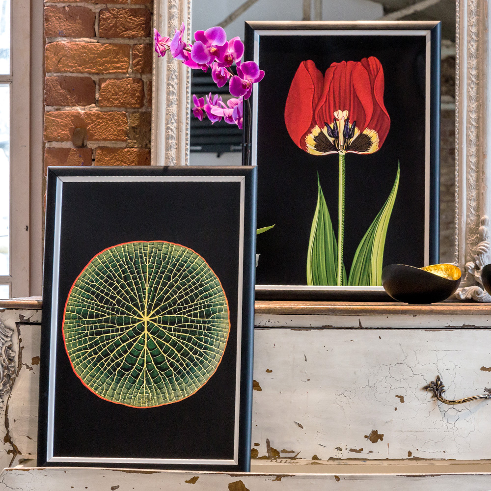 896518677_1818 Арт-постер "Символ благородства / Ночь" Object Desire  - Вид №1