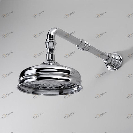 Душевая лейка AQ5120/SNCR Devon Devon SHOWER Devon&Devon AQ5120SNCR