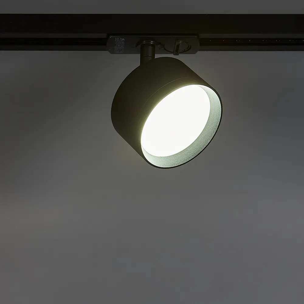 Arte Lamp Intercrus — трековый спот для акцентного освещения 89406657 STLM-1576702 - Вид №2