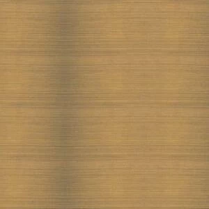 Террасная доска TerraPol Полнотелая Севилья 50 Дуб (Рельефная) 3000х130 мм.