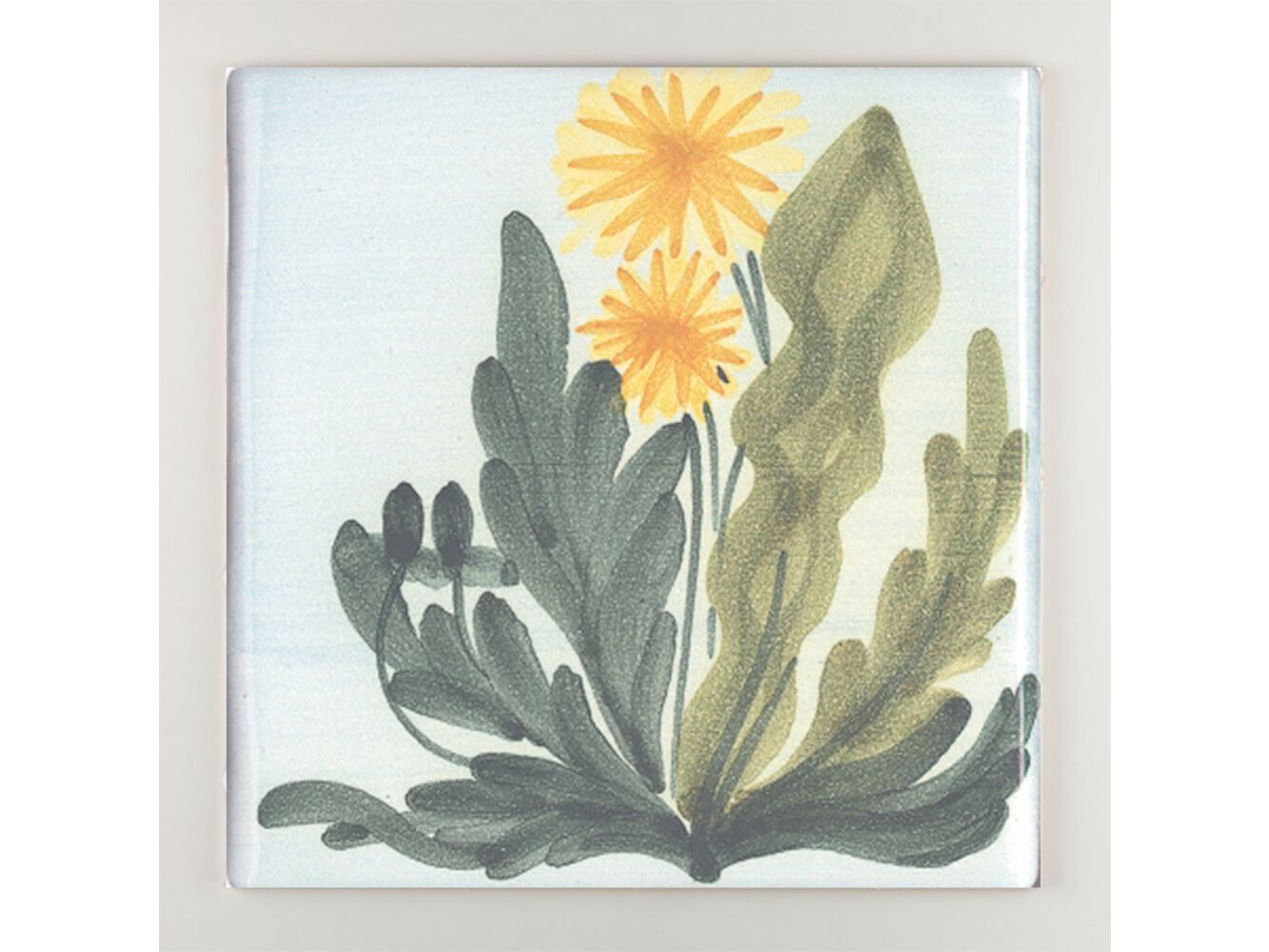 Пол / покрытие ручной работы La Riggiola традиция ARCH-00124927