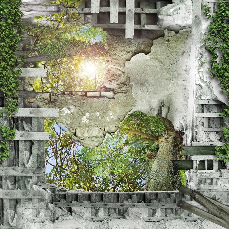 WP10016A Обои декоративные Adriani e Rossi  - Вид №1