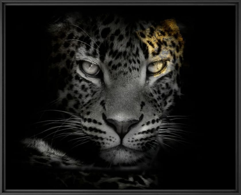 Печать фотографий на бумаге YellowKorner животное ARCH-00100510