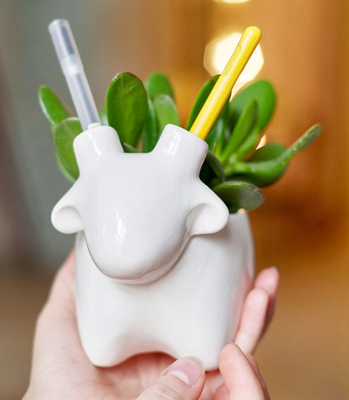 Набор для выращивания eco "Овечка" ЭКОЧЕЛОВЕКИ  254579 Белый  - Вид №6