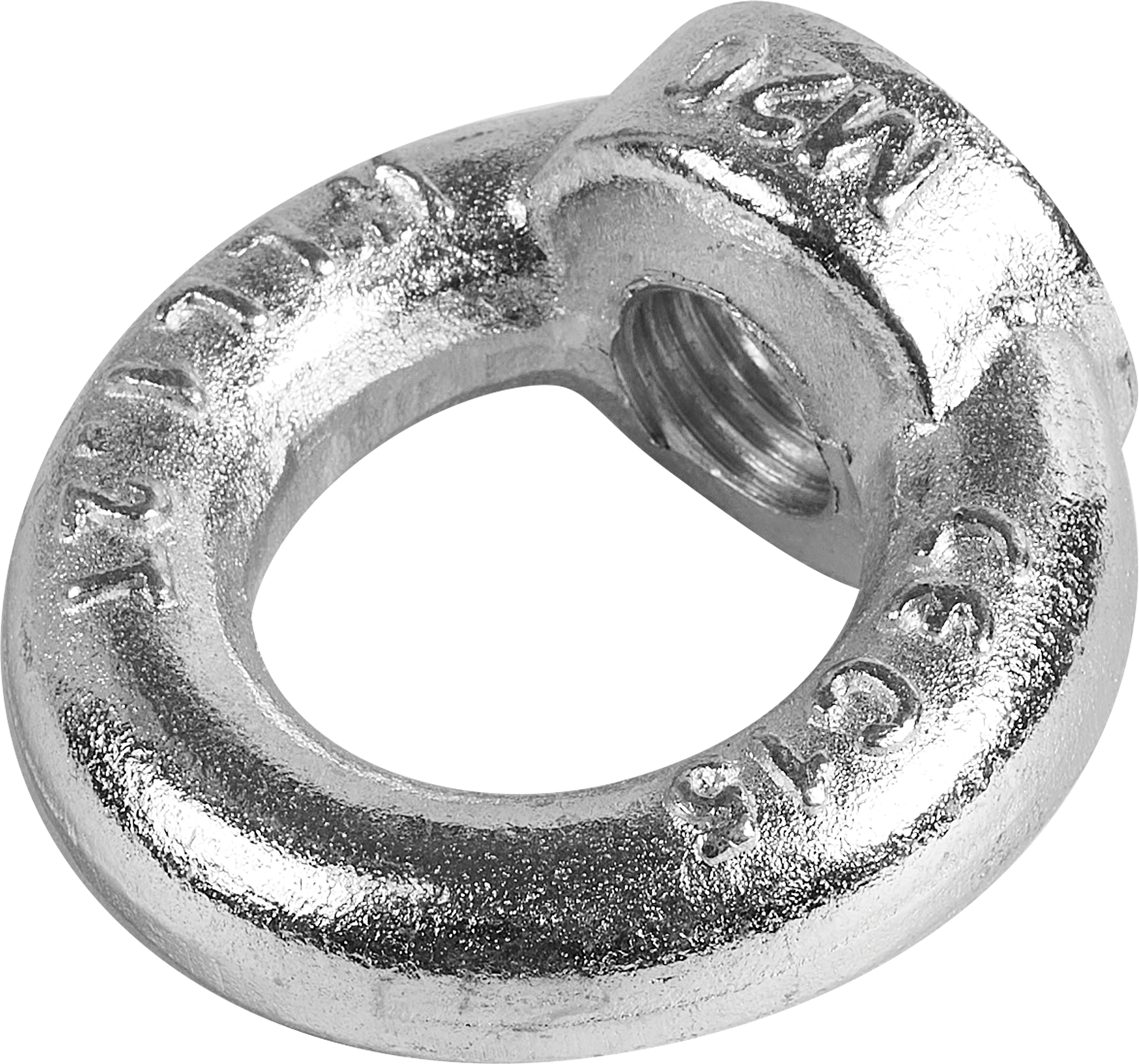 Рым-гайка Santreyd DIN 582 с оцинковкой для надежного крепления 85001206 STLM-0057645