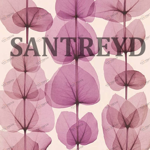 34245-3 Обои A.S. Creation X-Ray 342453