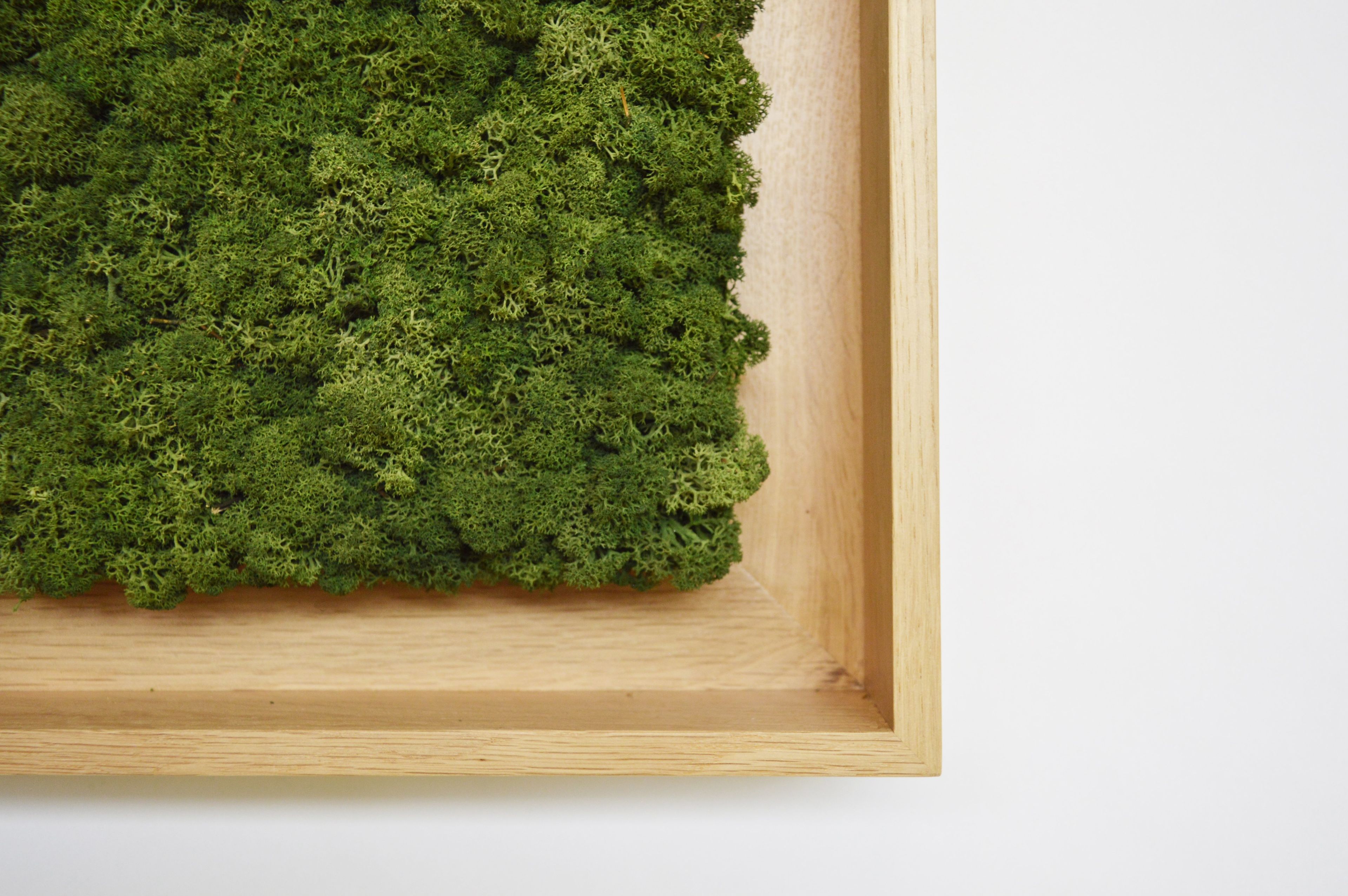 Акустическая панель из мха GREENMOOD FRAMED LANDSCAPE ARCH-00143245 - Вид №27