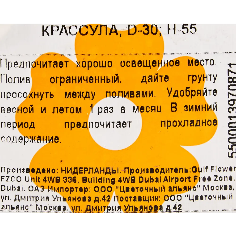 Крассула 30x55 см 82849706 STLM-2009079 Santreyd  - Вид №3