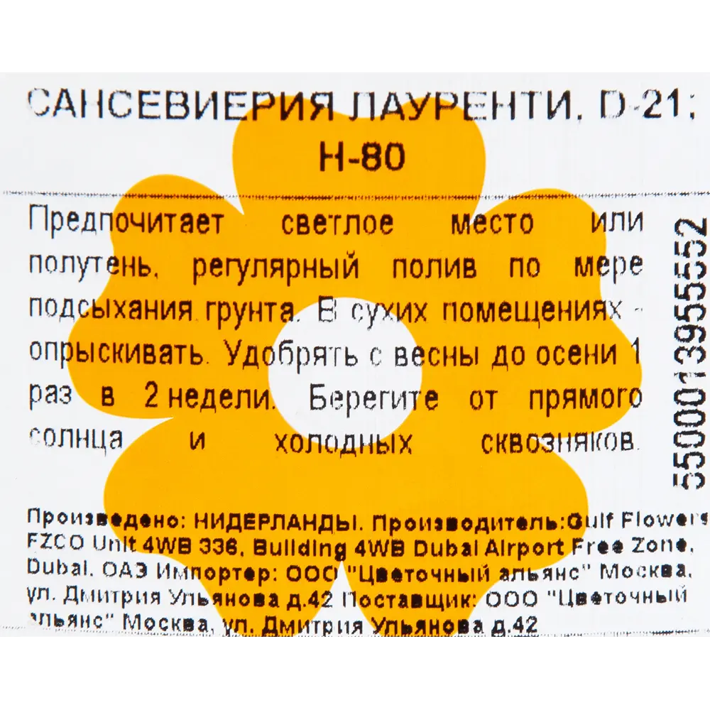 Сансевиерия "Лауренти" 21x80 см 82850386 STLM-2203888 Santreyd  - Вид №2