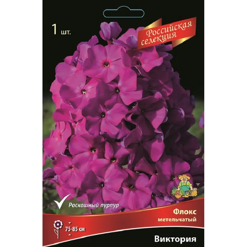 Флокс метельчатый Виктория ПОИСК STLM-2141901
