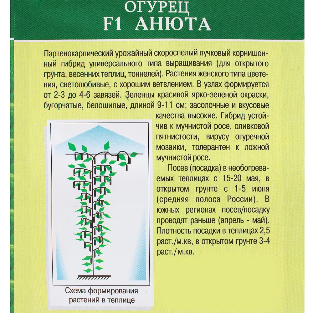 Семена Огурец «Анюта» F1 81932510 STLM-2135734 МАНУЛ  - Вид №2