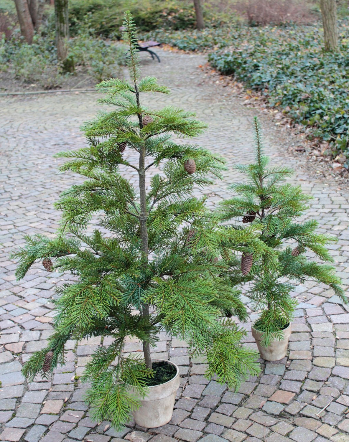 1124 883 a3 Пластиковая елка Нордманн с шишками, в горшке, 135 см, зеленая H-andreas  - Вид №2