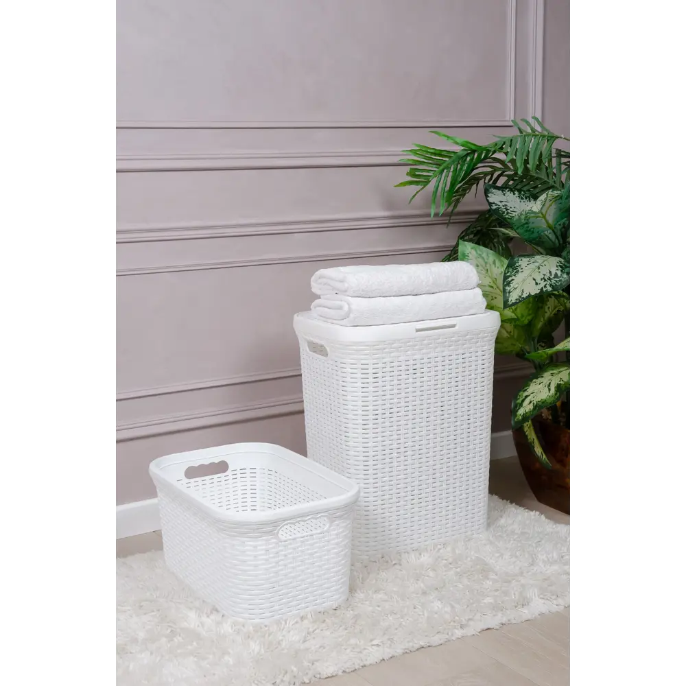 Корзина VIOLET Ротанг для организации пространства 51×33×25 см 86710691 STLM-0070886 - Вид №1