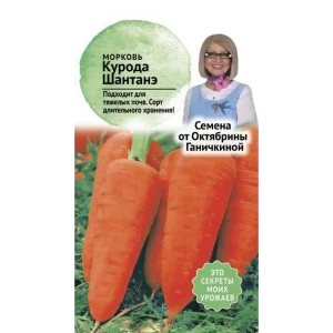 Семена Морковь Курода шантанэ от Октябрины Ганичкиной