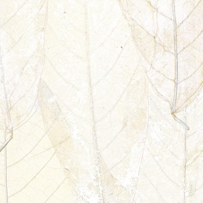 Élitis Огнестойкие флизелиновые обои Ecrin sun-id-1448036 - Вид №1