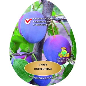 Слива Конфетная сетка h200 см 87737929 STLM-2178677