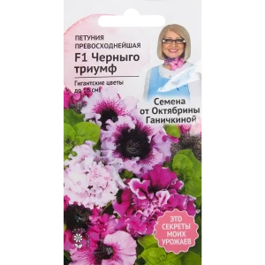 Петуния «Черныго триумф» F1 от Октябрины Ганичкиной - фиолетовый шедевр для сада 82481635