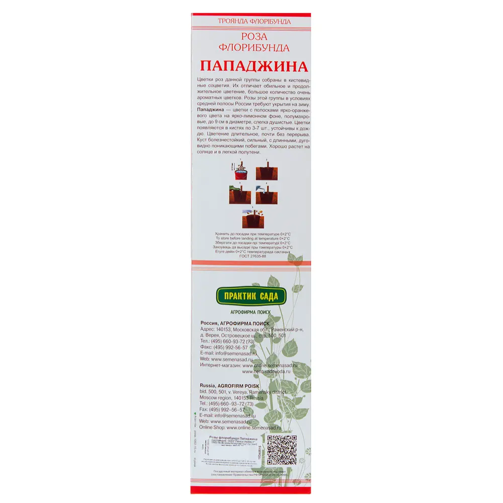 Роза флорибунда Пападжина в тубе Поиск Инвест 18348515 STLM-2010298 Santreyd  - Вид №1
