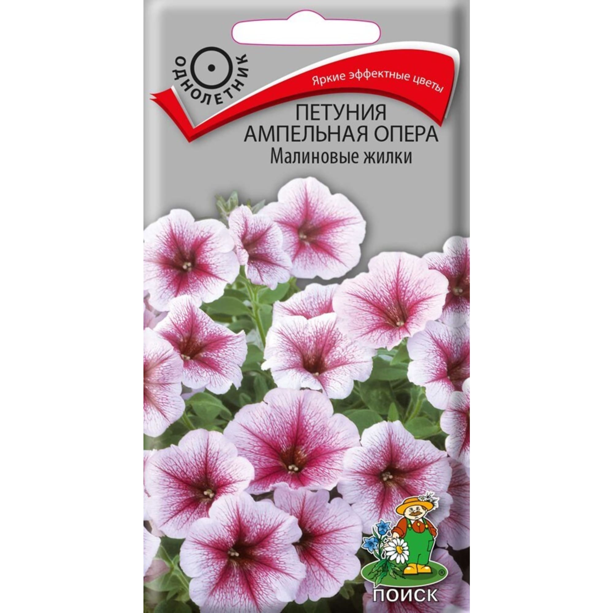 83227405 Семена Петуния Ампельная «Опера Малиновые жилки» Santreyd 