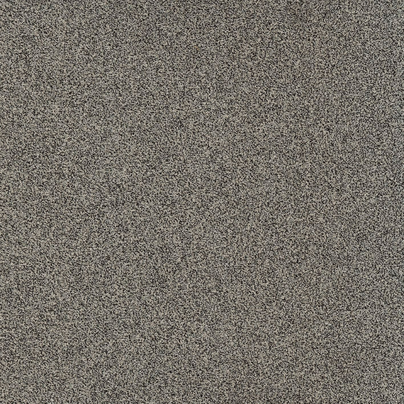 Сплошной ковер MODULYSS Delight ARCH-00141513 - Вид №6