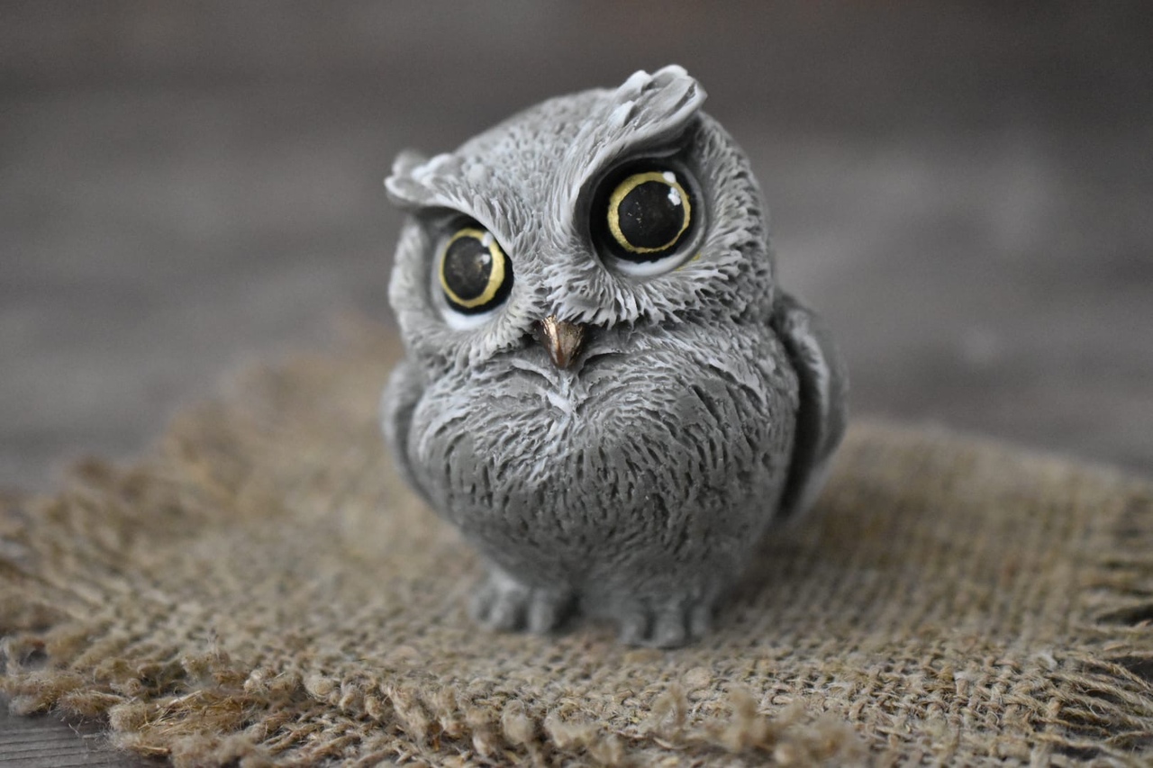 10653 Форма "Сова глазастая S" силикон HobbyPage 