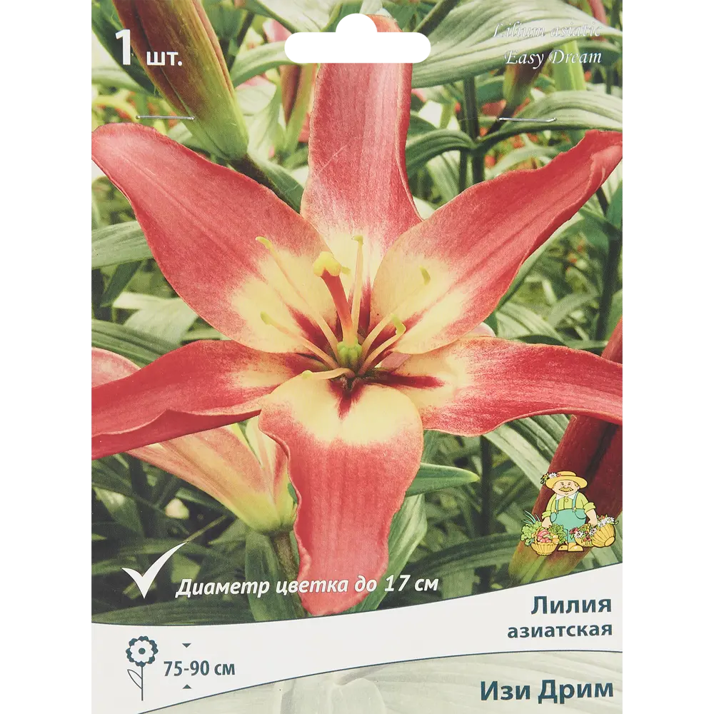 Лилия азиатская Изи дрим луковица 14/16 88294769 STLM-2010467 Santreyd 