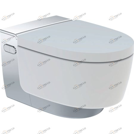 146.204.11.1 Подвесной унитаз настенный Белый Geberit  Германия 