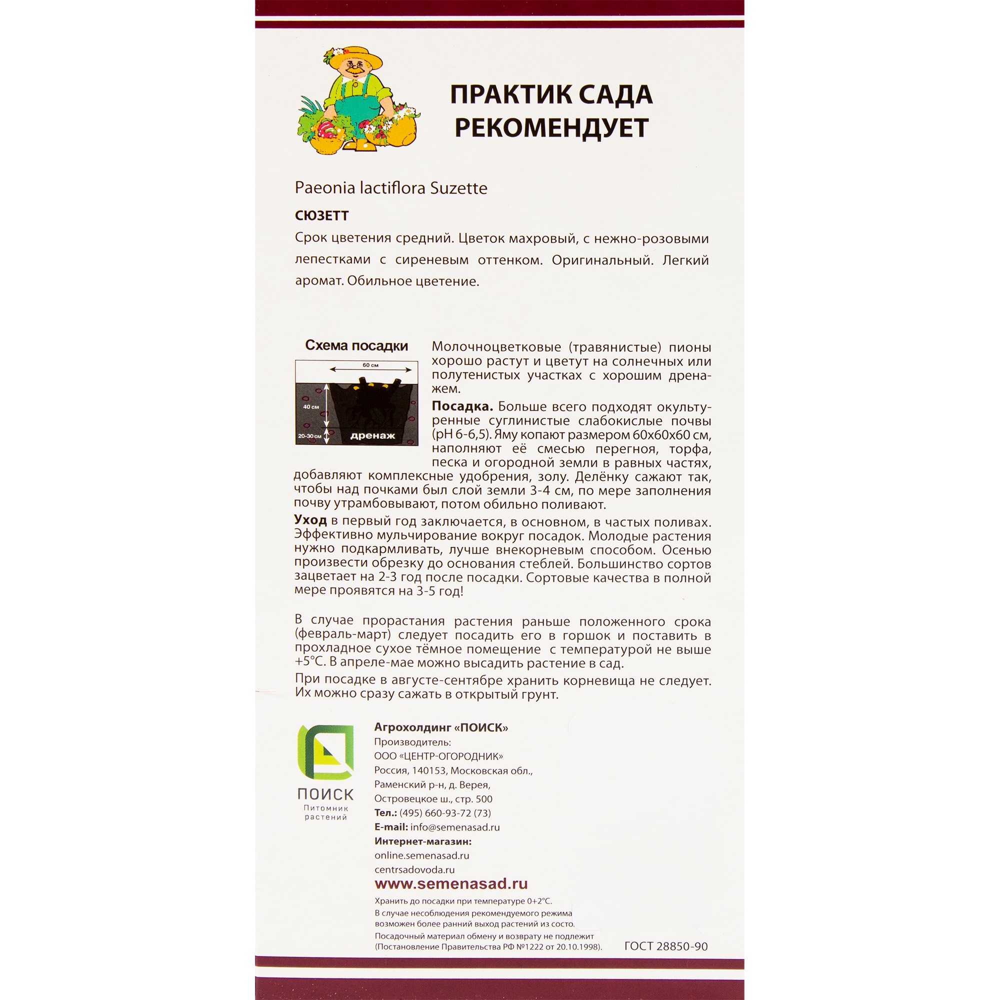 82319611 Пион молочноцветковый «Сюзетт», размер луковицы I Santreyd  - Вид №1