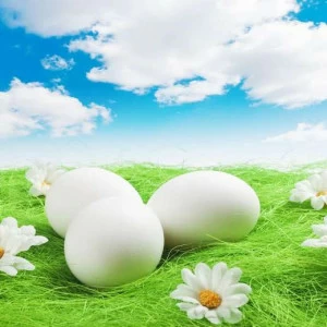 WP00702 Фотообои Verol Фотообои decoline 1х1 м