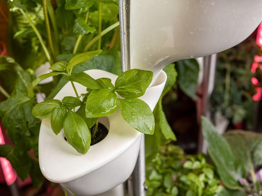 Natufia Отдельно стоящий кухонный модуль для гидропоники sun-id-1432001 - Вид №11