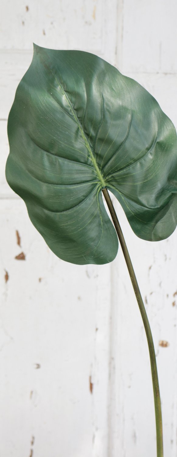 5211 883 a2 Пластиковая пластинка в виде уха слона, 75 см, зеленая H-andreas  - Вид №1