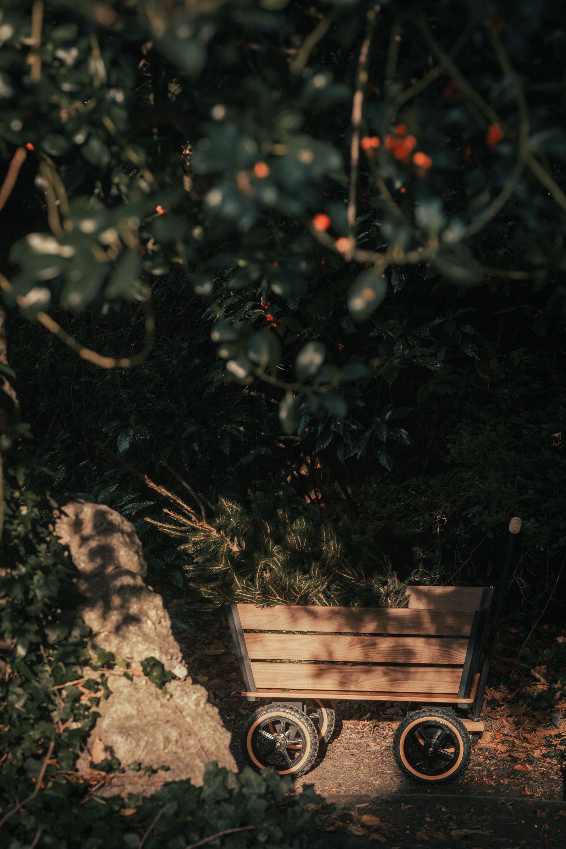 Садовая тележка TRADEWINDS THE PLANK WAGON ARCH-00043245 - Вид №5