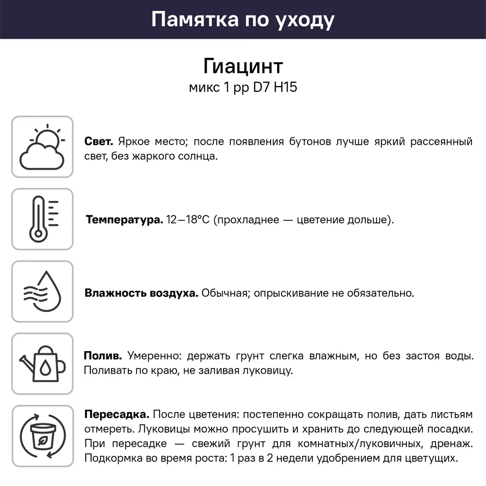 Гиацинт микс ø7 h15 см 89453318 STLM-2157941 Santreyd  - Вид №8