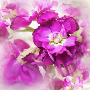 D1-006 Фотообои DIVINO Collection D 2.7х3 м