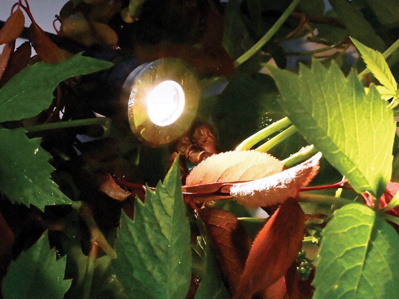 Напольный напольный напольный заполнитель Сид Flexalighting FRONK ARCH-00055351