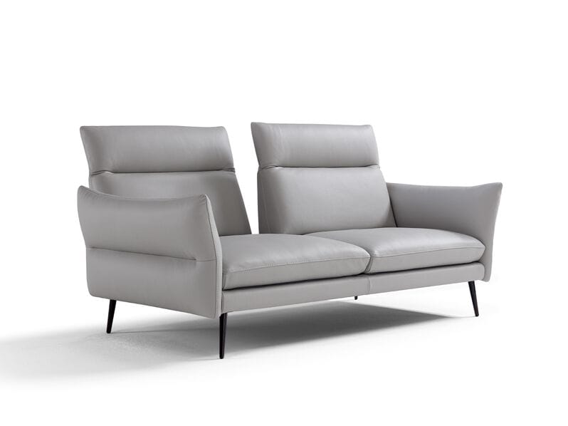 2-местный кожаный диван Max Divani MODULA ARCH-00070810 - Вид №1