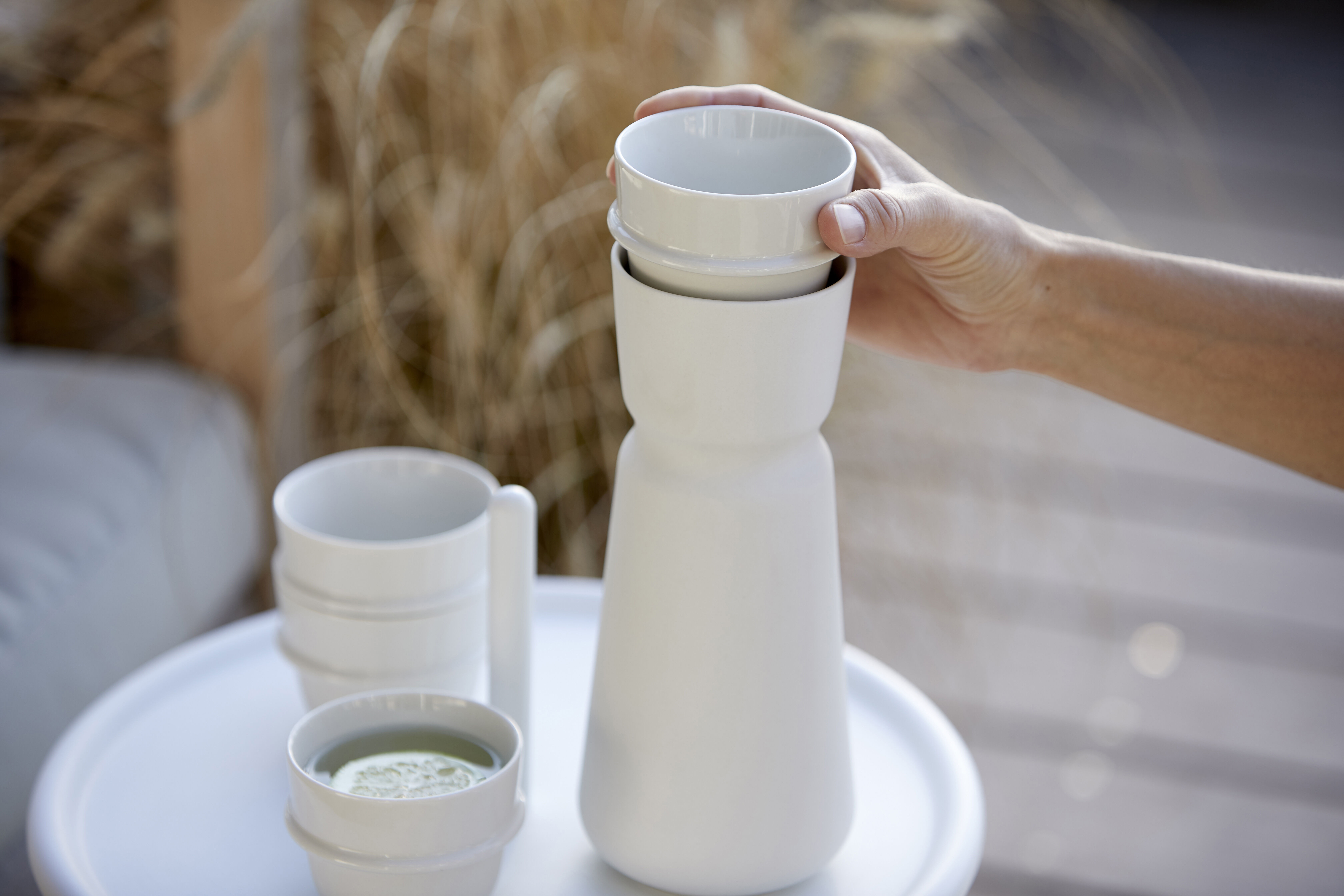 13773 Чистить Zone Denmark Inu - Вид №4