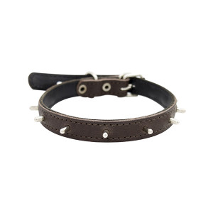 ПР0048181 Ошейник для собак Ёж 2сл 14мм 35см коричневый ZOOEXPRESS