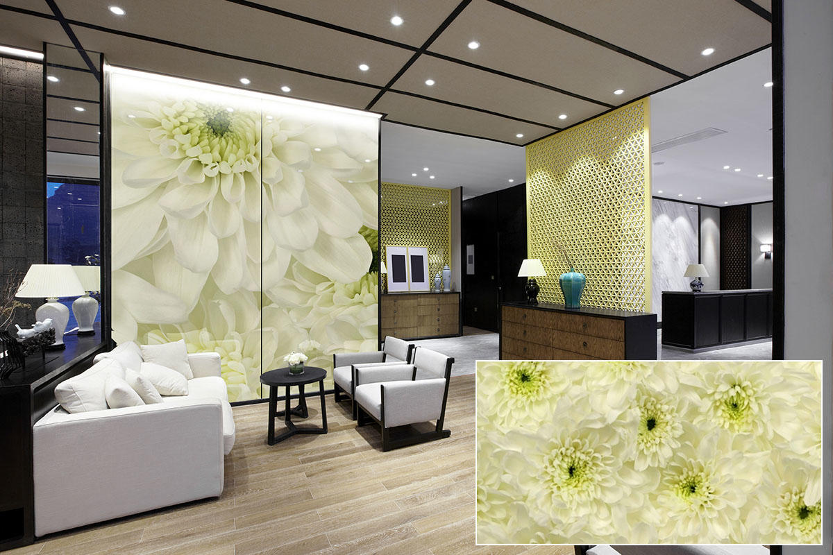 FSRT377 Стекло Vivispectra Zoom с прослойкой в ​​виде гвоздик Forms-surfaces  - Вид №13