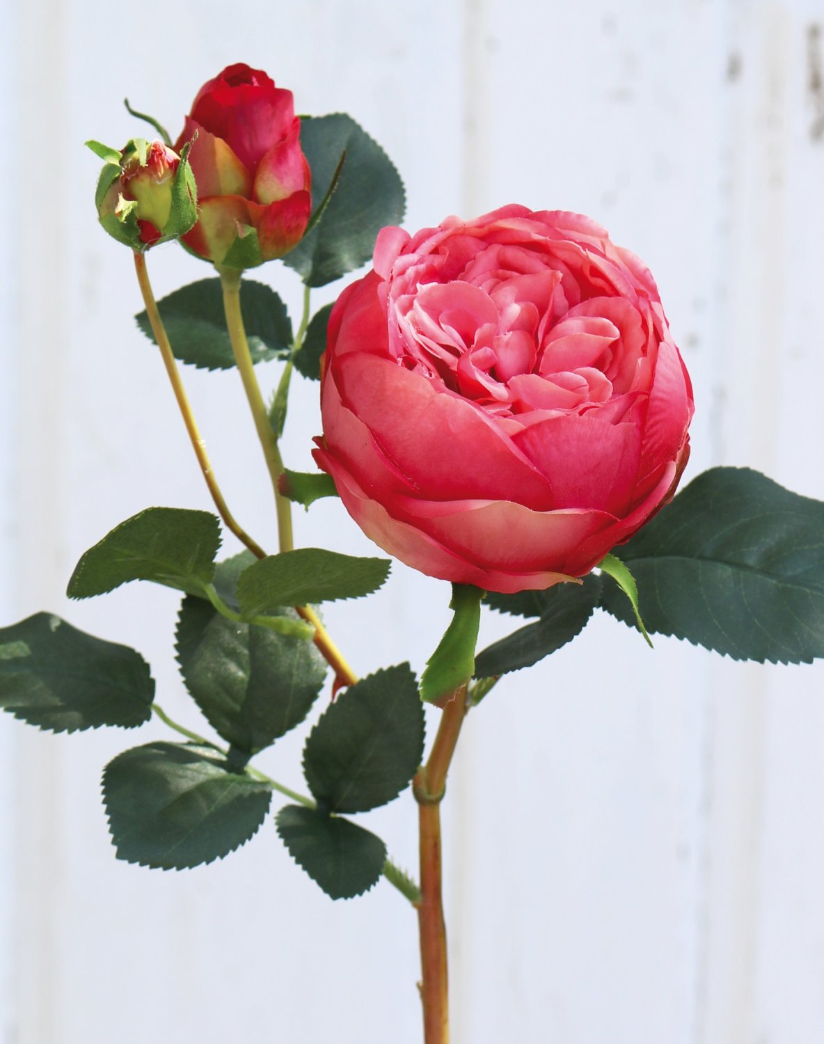 2592 515 a3 Ложная роза, 1 цветок, 2 бутона, 60 см, real touch soft, розовая H-andreas  - Вид №4