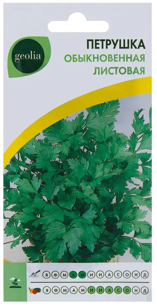 GEOLIA Петрушка Листовая обыкновенная - ранний урожай ароматной зелени 17584559