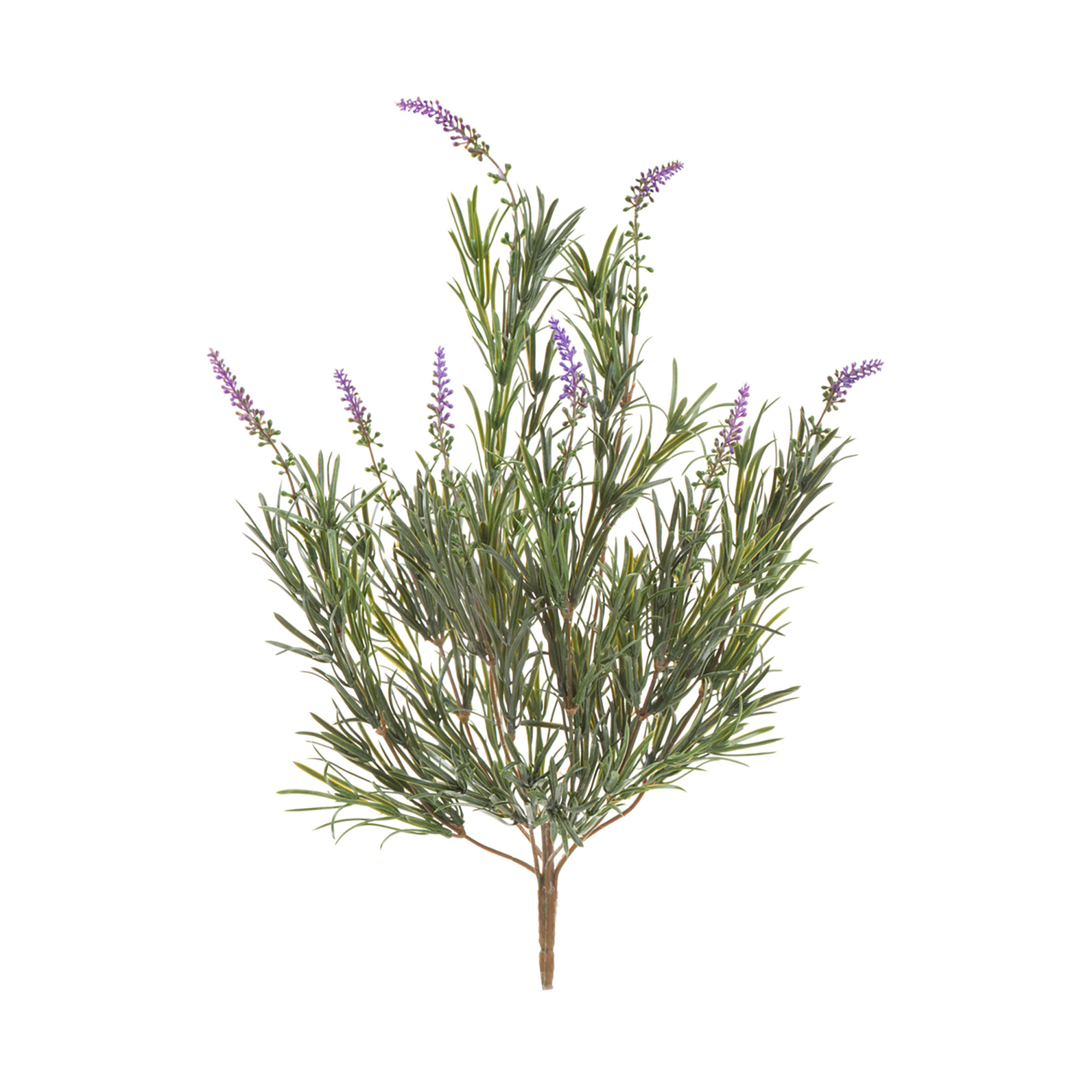 2000983181350 Дикая Лаванда ROOMERS 